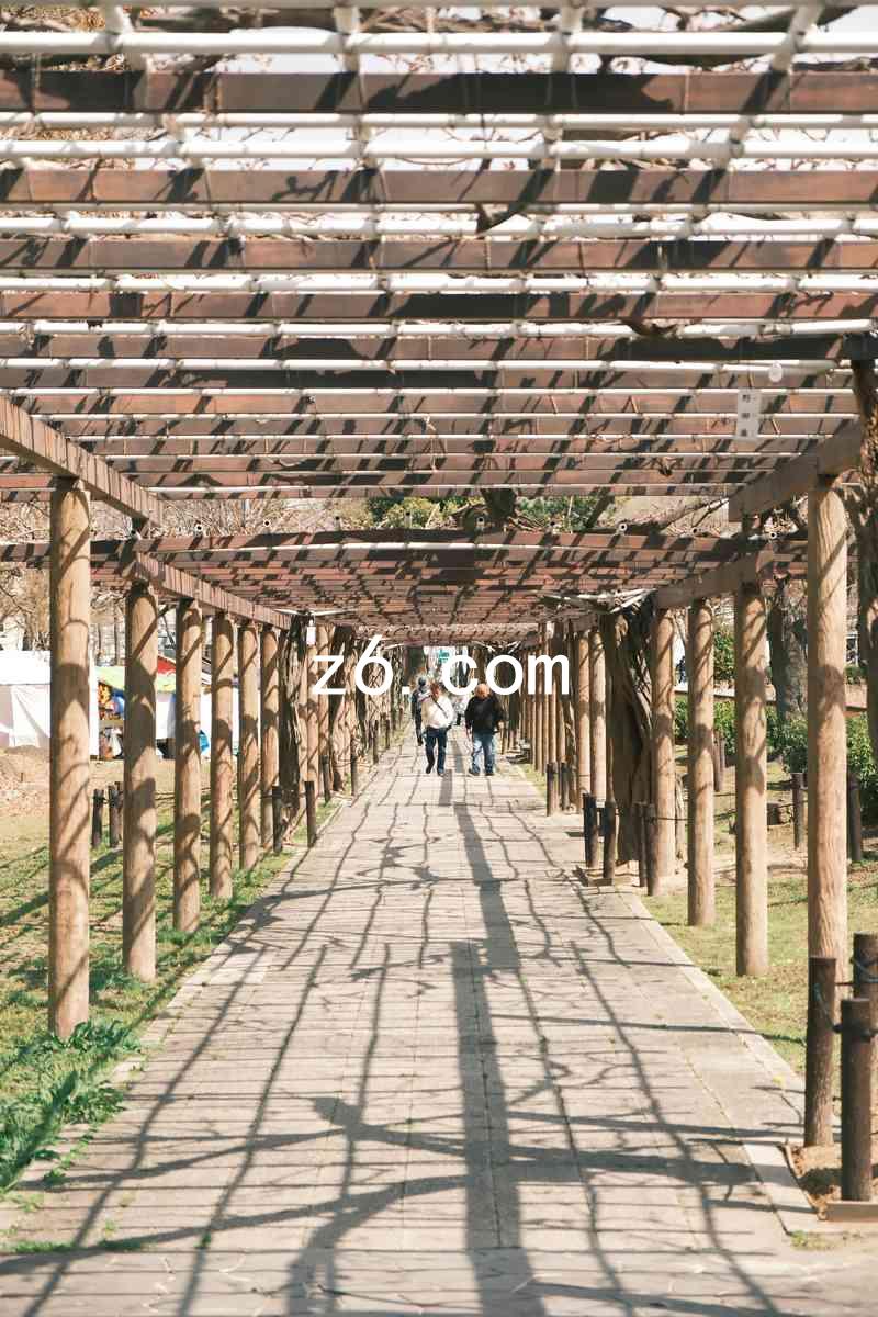 z6.com