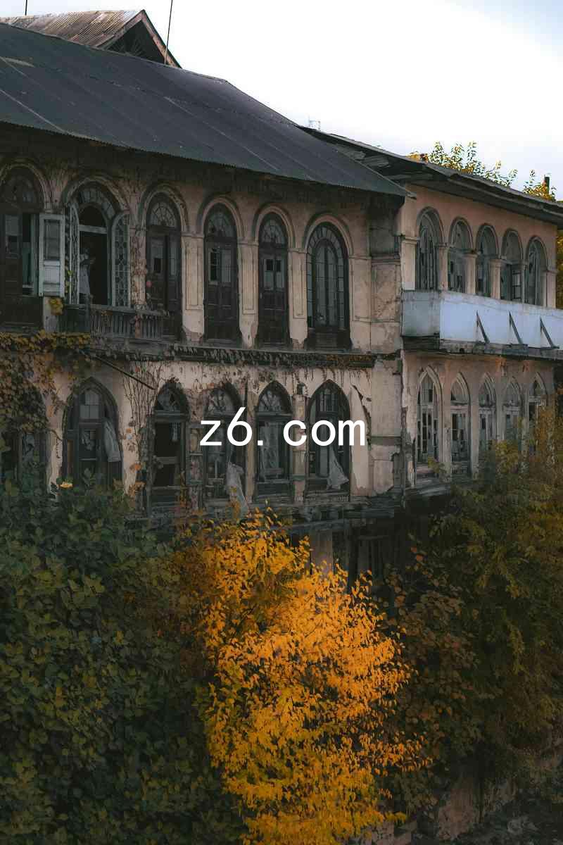 z6.com
