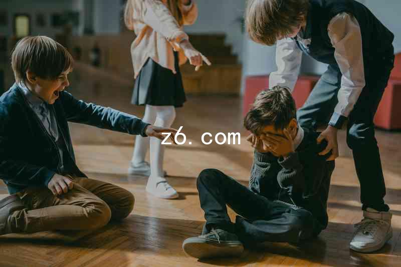 z6.com